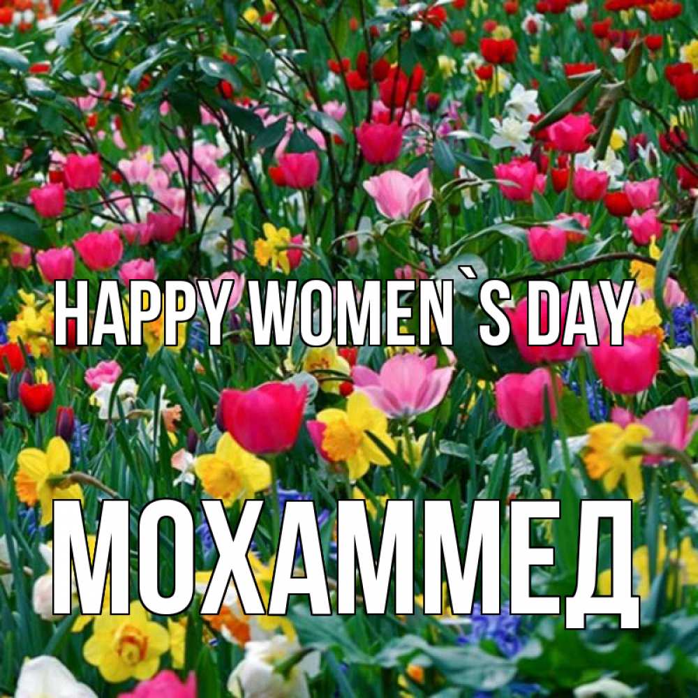 Greetings card с именем, Мохаммед happy women`s day с международным женским днем поздравления для женщины Greetings with text for free download 
